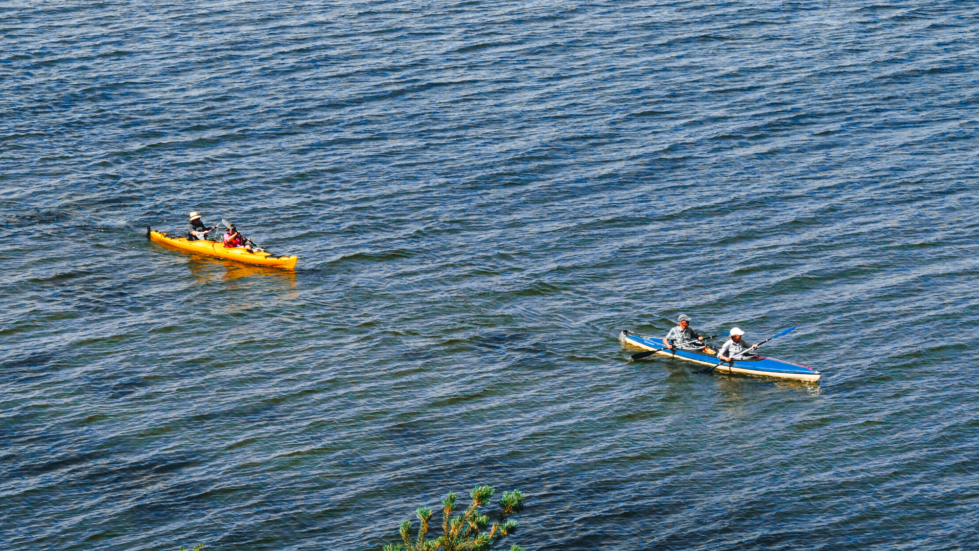 kayak guided tours Squamish